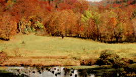 lochiels:COSTUME DRAMA + harvest season (autumn)