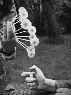 Mas-Sa-Cred-Mind:  Judgem3Ntal-Fucks:  Best Gif Ever  Mas-Sa-Cred-Mind  Depressed,