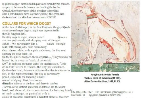 pet-interests:Some egyptian dog history - Deux colliers de chien dans la tombe de Maiherpri, Pharaon