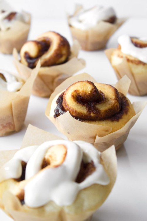 sweetoothgirl:Cinnamon Roll Desserts 😛(recipes