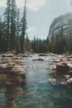 wilderness-queen:  lots of nature and good