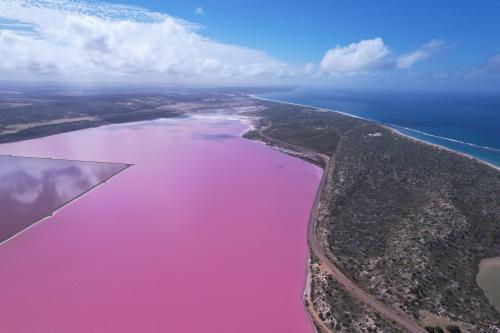 oneshotolive:  Pink lake in Western Australia [OC][5432x3648] 📷: nikrodaz 