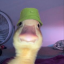 loopyduck