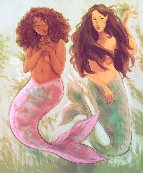 bevsi: merms