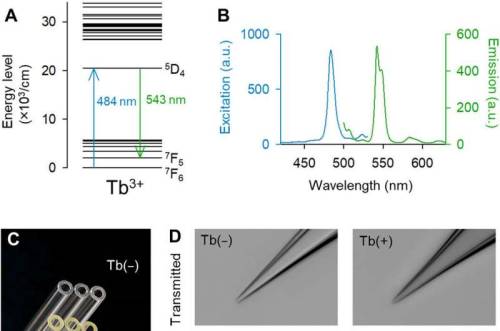 materialsscienceandengineering:Terbium (III)-doped fluorescent glass for biomedical researchOptical 