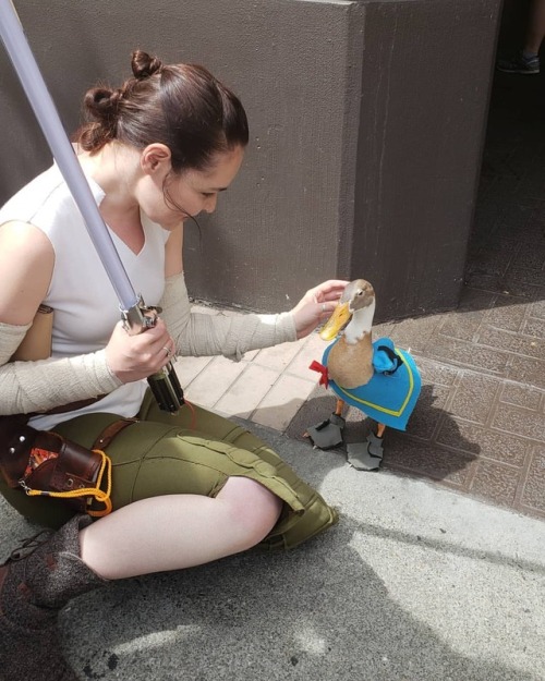 I made a new friend at @sanfranciscocomiccon in @titotheducky who was dressed as Donald Duck! So cu