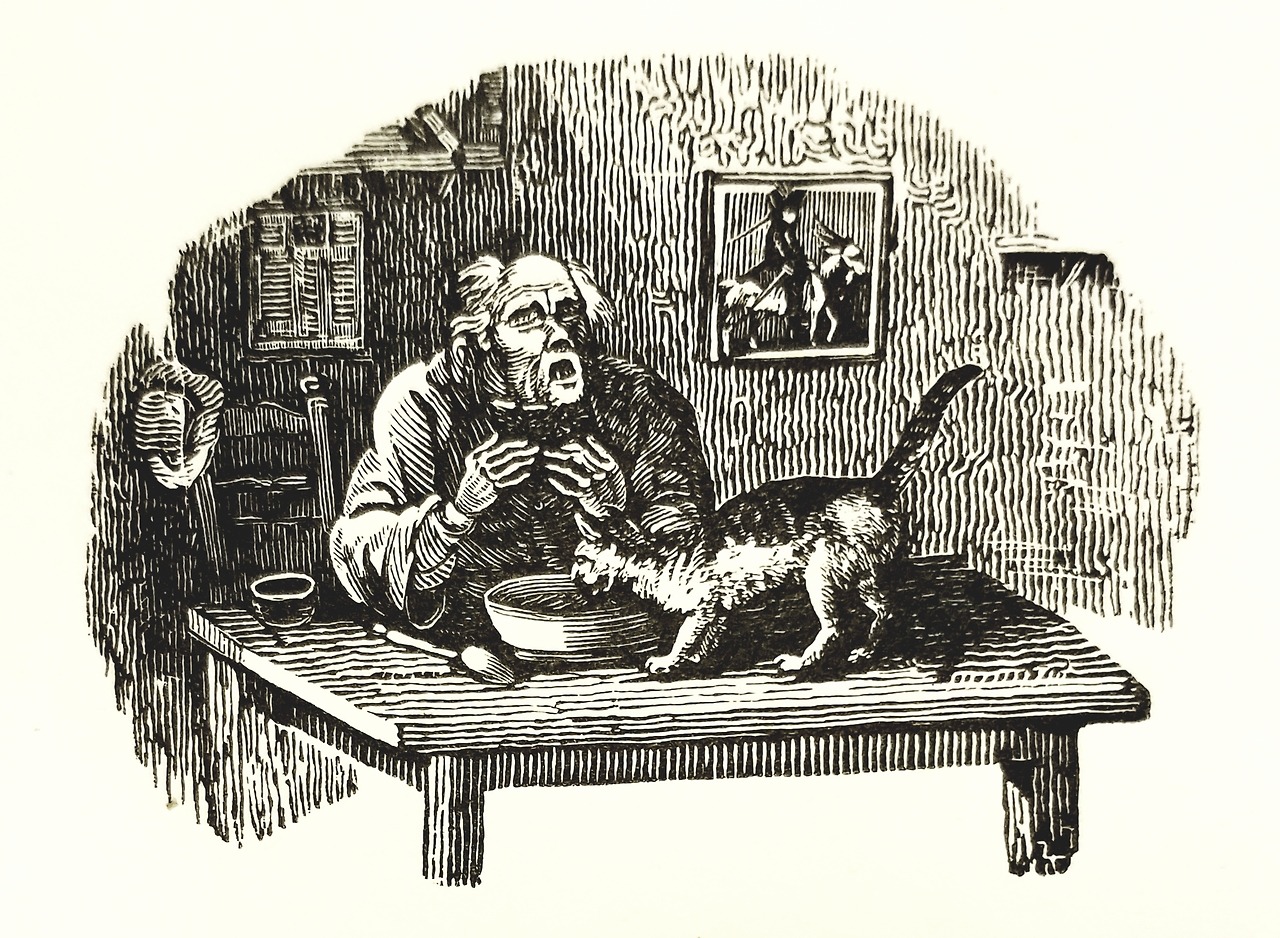 detroitlib: #Caturday! From our stacks: Illustrations from A Collection of One Hundred