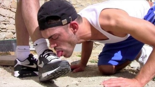 humiliationverbale:  Yeah, that’s it, on its 4, tongue out, licking Superior’s Sneakers 