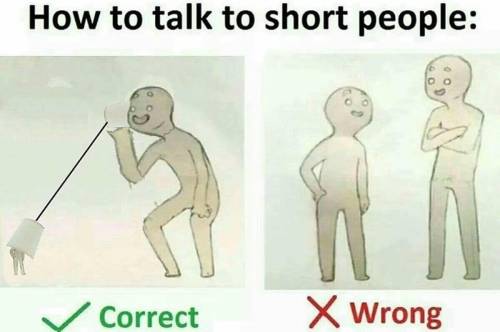 Because The Meme XD