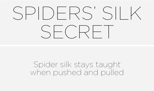 yourg4memasterth3whiter4bbit:  currentsinbiology: labbbugs:  skunkbear:  This is incredibly cool! Journal paper here.  Holy crap this is awesome!  Fabulous!  Biomimicry. 