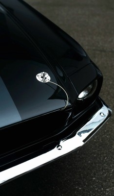 h-o-t-cars:   Ford Mustang Shelby GT350 