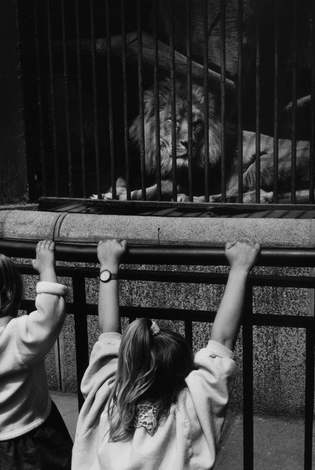 Botanical Gardens, 1991Raymond Depardon