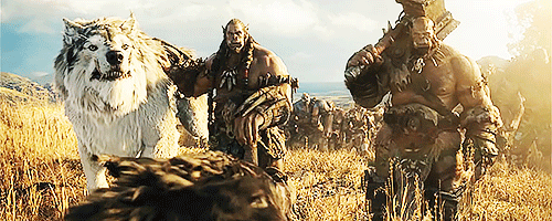 starcraftlas:  “We must make a home here. Whatever happens.” Warcraft Movie (2016)