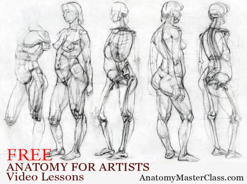 supersonicart: ANATOMY MASTER CLASS: Free Video Lessons.Anatomy Master Class is offering Supersonic 