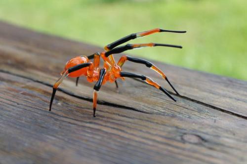 answersfromvanaheim:ex0skeletal-undead:Glass Spiders byminiatureglass on Etsy@edderkopper