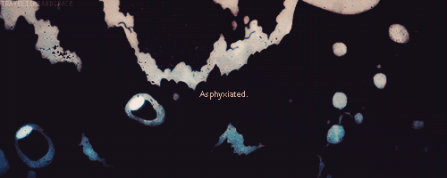 shinnyah:  PSYCHO-PASS // MUSE I wanna play the game.I want the friction. 