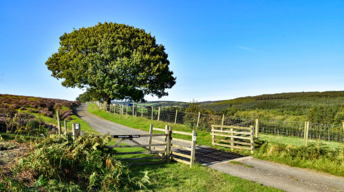 High Askew - Bents Lane by Yorkshire Lad - Paul Thackray This the cattle Grid on Bents Lane leading 