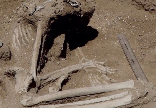 Ancient Massacre Unearthed near Lake Tukana, Kenya “Archaeologists say they have unearthed the earli