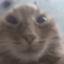 sophieprime