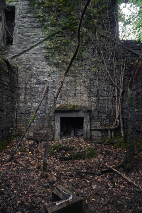 Buchanan Castleabandoned mansion in Scotland, built in 1855 and abandoned in 1954.(more photos here)