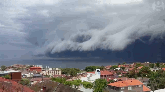 fuckyeahfluiddynamics:  Sydney, Australia was treated to a spectacular meteorological