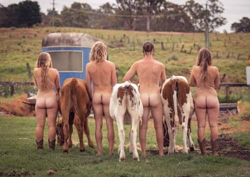 nakednews:As every year for 30 years, the veterinary students from the University of Sydney have pos