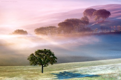 jtotheizzoe:  staceythinx:  Beautifully atmospheric photography by Adnan Bubalo  Great googly moogly … if we ever find another inhabited planet there’s just no chance it will be as pretty as this one. Ok, that first part’s not precisely true, but