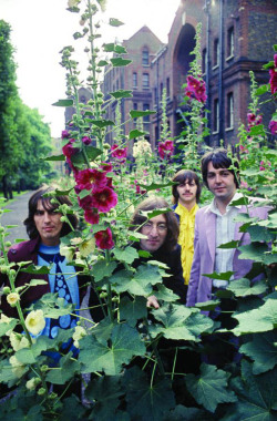 soundsof71:  The Beatles “Mad Day Out”, July 28, 1968, by Don McCullin 