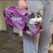 catasters: