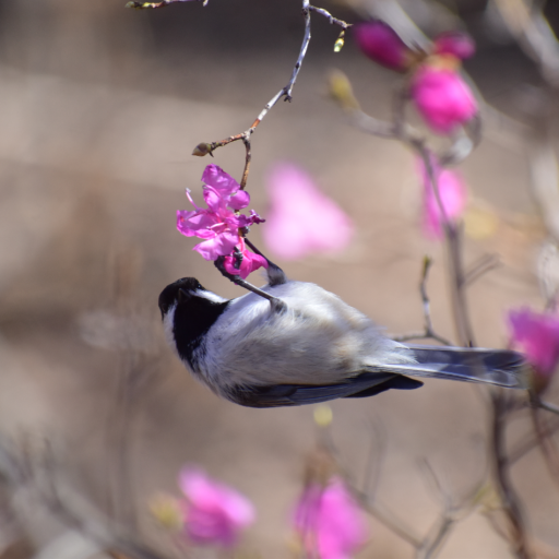 way-out-there:Stopping by Botanical Gardens today was the best choice.