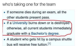 technical-taurus: breadrunnersofcakedom:   lolwtfmemes: Take one for the team is everyone ignoring the fact that all they have to do is get hit by a bus to go there for free   who wants to die so everyone else can pass their finals? 