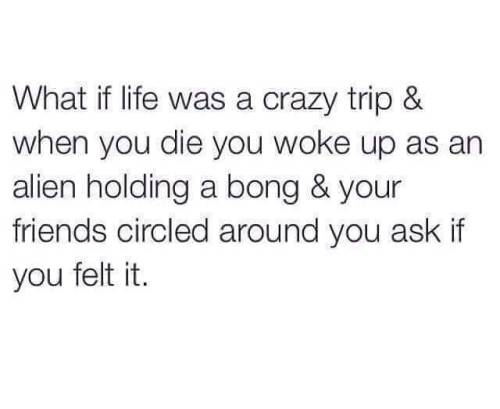 justlivinglife610:  @justlivinglife610