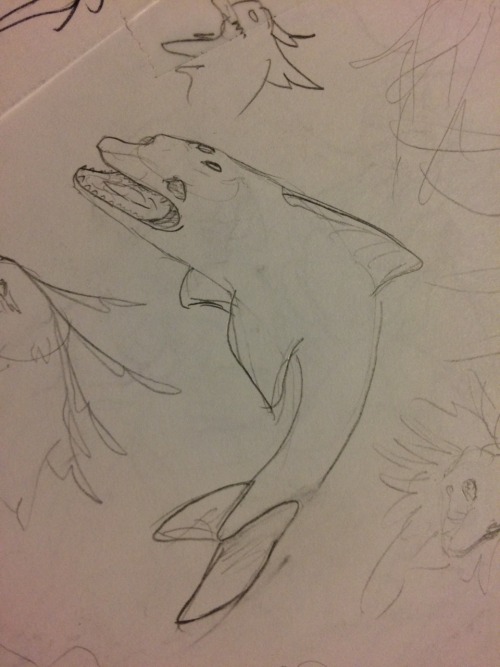 DOLPHINE