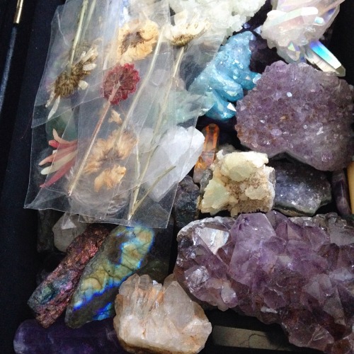 lavenderwaterwitch - packing up my babies ✨Instagram –...