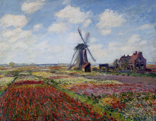 Porn claudemonet-art:  Fields of Tulip With The photos