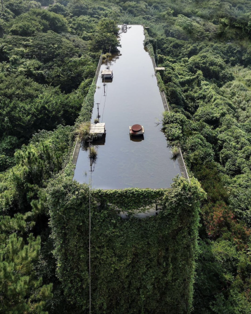 rhubarbes:  Rooftop of abandoned building,