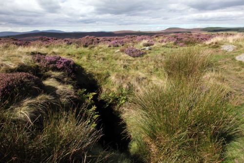 rowanwitch:Cateran Hole is a cave situated between Bamburgh and Alnwick and it is where the Cat