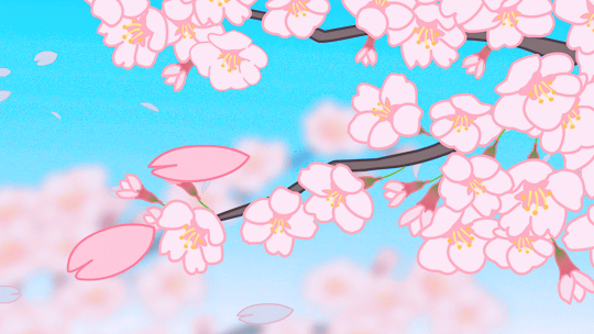 GIF cherry blossom  animated GIF on GIFER