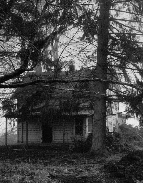 House in the shadows&hellip;