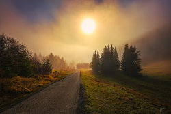 amongthewhisperingtrees:  -Ephemeral moment- by Janek-Sedlar