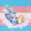 softponiblog