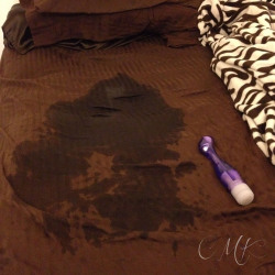 curiousmisskitty:  Yes, this is exactly how it looks.  The first toy you get to see is one of my favorites, for a pretty obvious reason; it makes me cum so hard I squirt and soak the bed (thank goodness for waterproof mattress pads).  Perhaps there