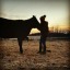 equestrianwritingsstuff