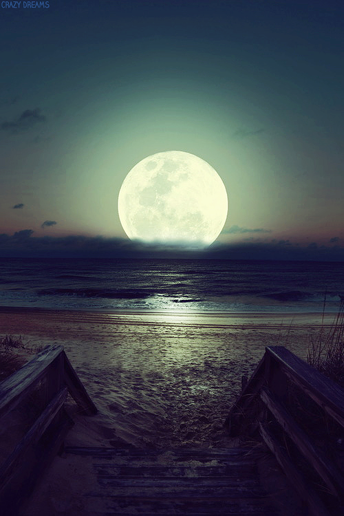 meu-mundo111:  moon | Tumblr no We Heart It - http://weheartit.com/entry/59893220