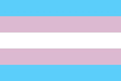 chipsngo: It’s Transgender Awareness Month.Also