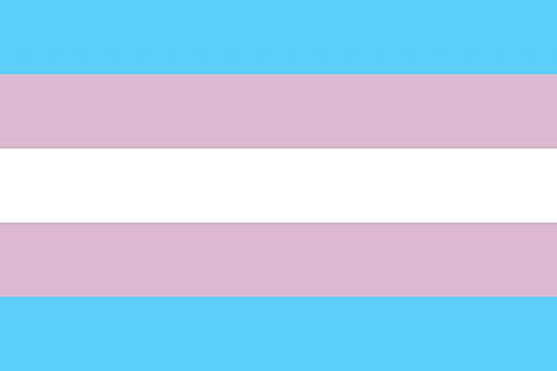 XXX chipsngo: It’s Transgender Awareness Month.Also photo