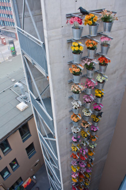 viral-creek:  Colorful Urban Vertical Gardenhttp://garden.viralcreek.com/colorful-urban-vertical-garden/