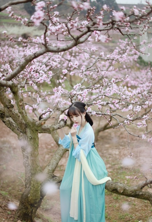 ziseviolet: Hanfu (han chinese clothing) photoset via 影子的白日梦. The models are wearing Tang Dynasty-st