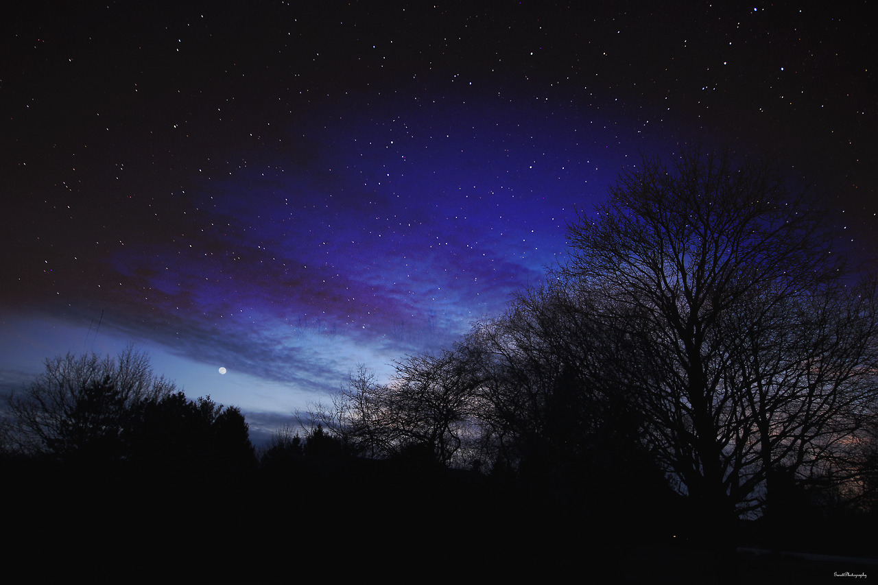 garettphotography: “Oh, Spring is surely coming,Her couriers fill the air;Each