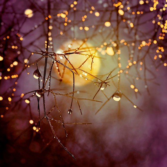 rainy-autumn-day:  